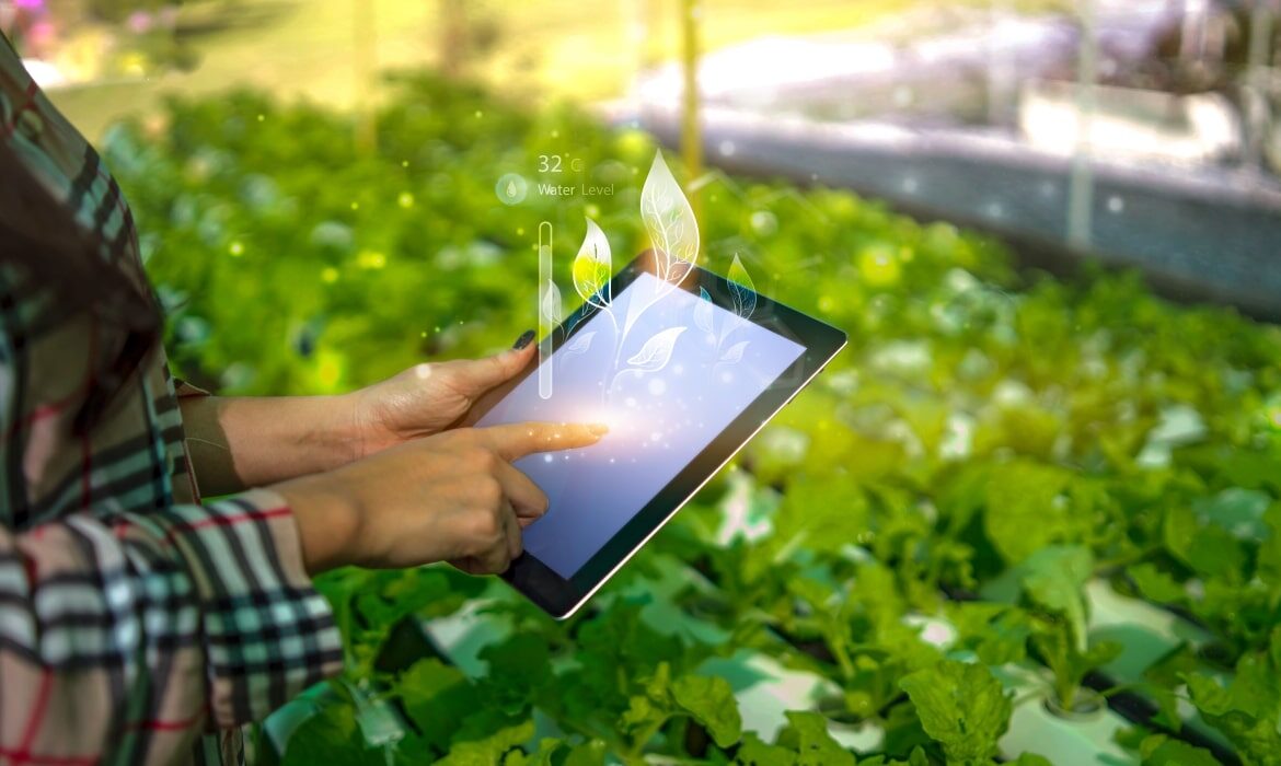 Is Your Child Ready for the Future Jobs? O’Botz